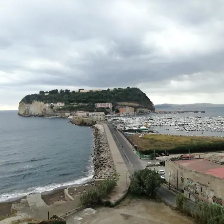 Nuvo Naples